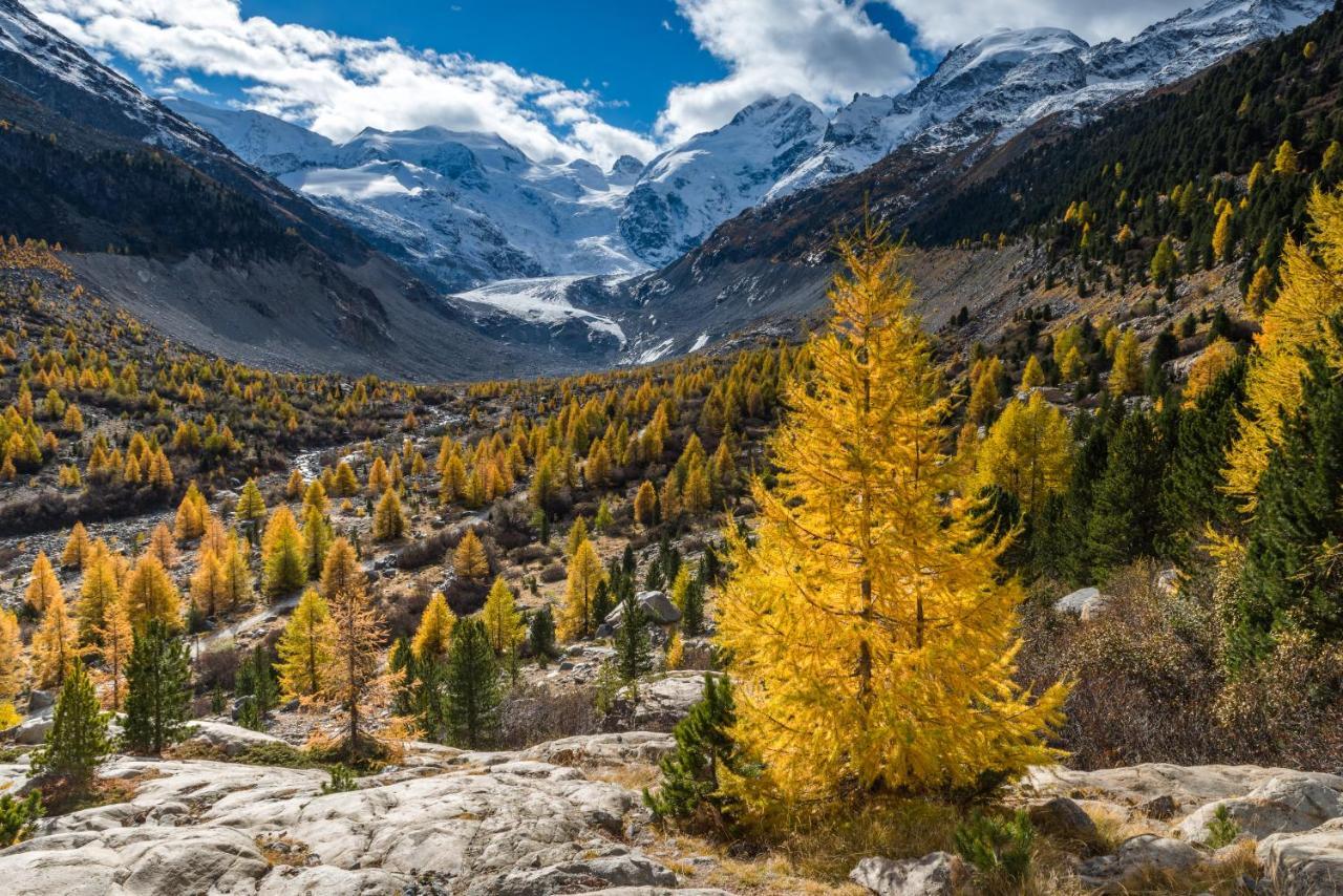 Hotel Morteratsch Pontresina Kültér fotó